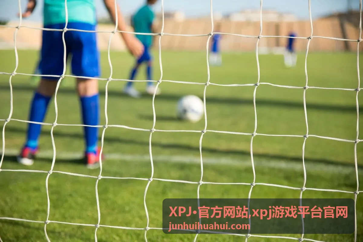 XPJ·官方网站 分类导览背景图
