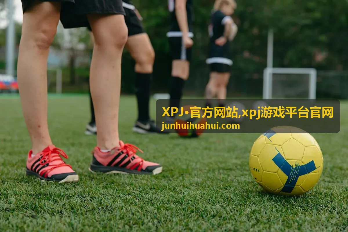 XPJ·官方网站 专题封面图