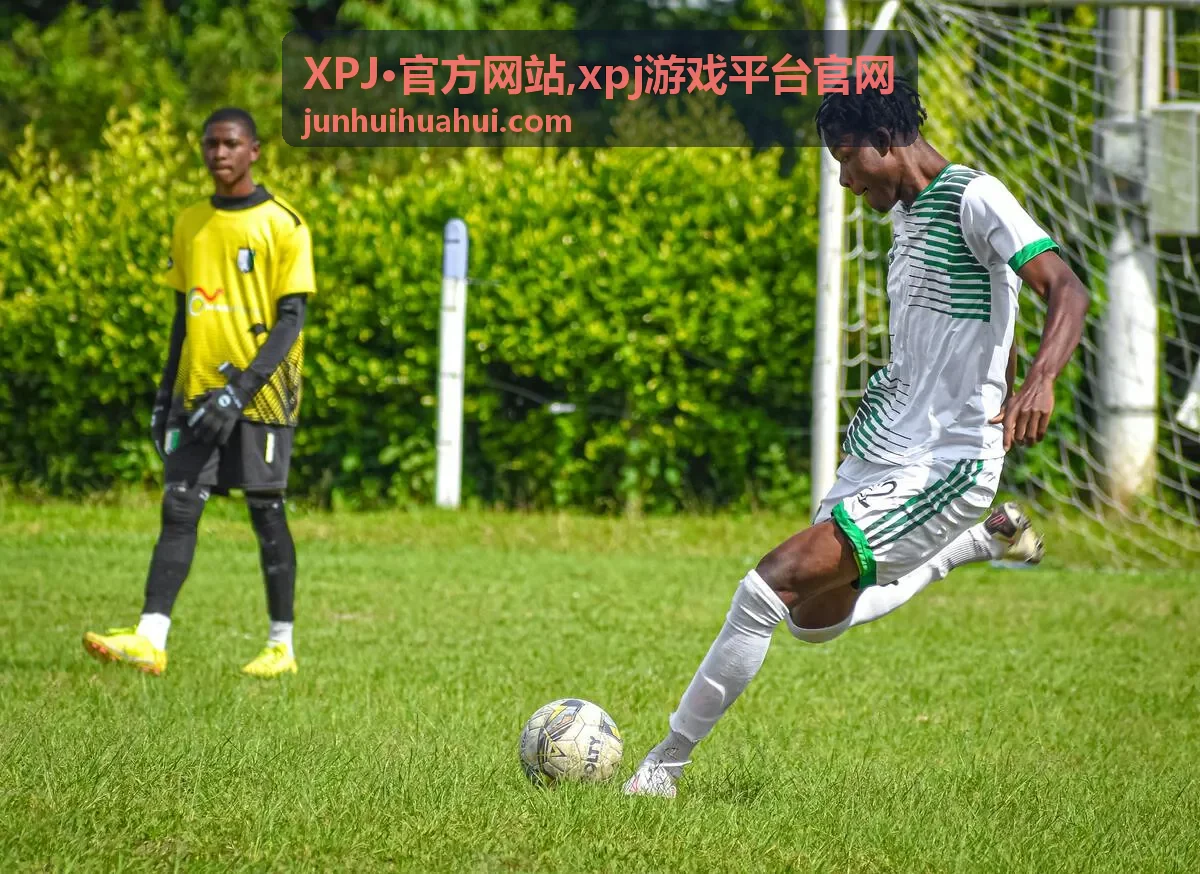 XPJ·官方网站 分类导览封面