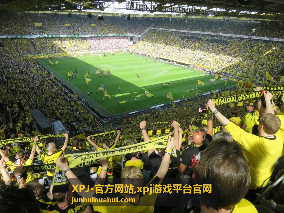 XPJ·官方网站 内容展示封面